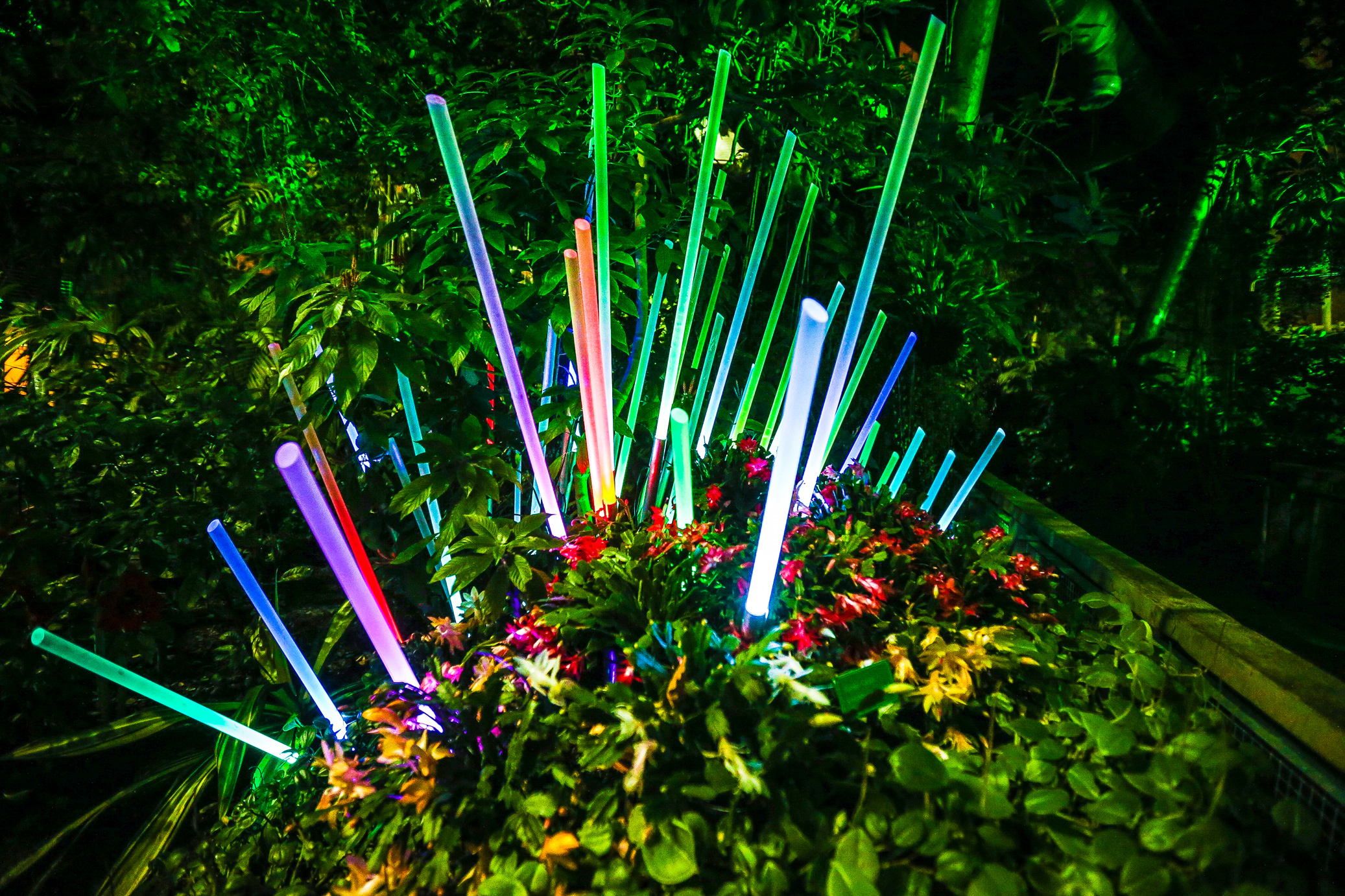 Glow Cleveland Botanical Garden S Jay Kossman Photography
